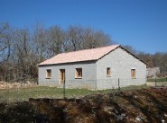 Haus Catus